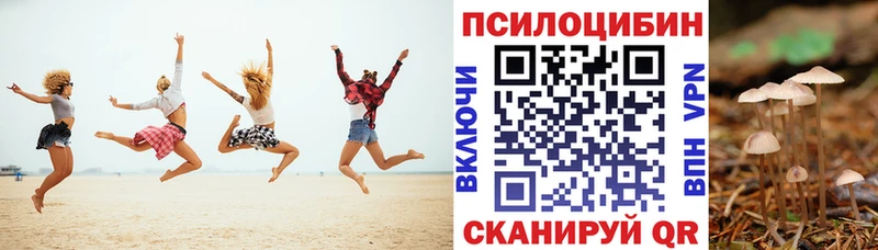 Галлюциногенные грибы прущие грибы  Осташков 